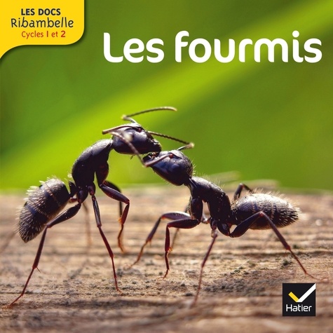 LES DOCS RIBAMBELLE : les fourmis - cycle 2