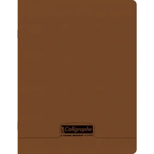 Cahier piqué 8000 POLYPRO 17x22 cm 96 pages grands carreaux 90 g
