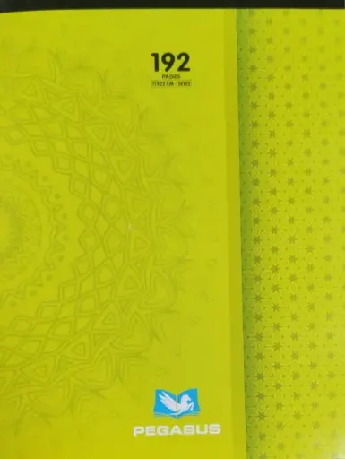 Cahier Piqué 192p 21*29.7cm PEGASUS