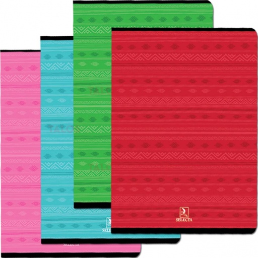 Cahier Piqué 5X5 96P 21X29 Selecta