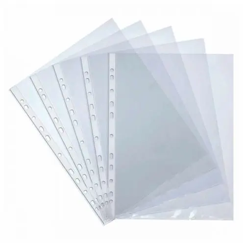 100 Pochettes perforées 21x29.7 30 mic - ecolo